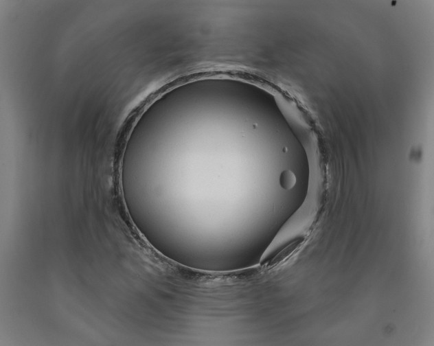 X0000091951165200709271320