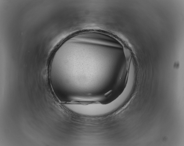 X0000091951167200709271320