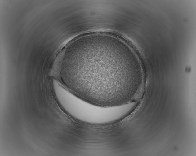 X0000091951169200709271320