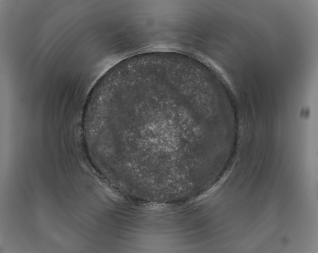 X0000091951170200709271320