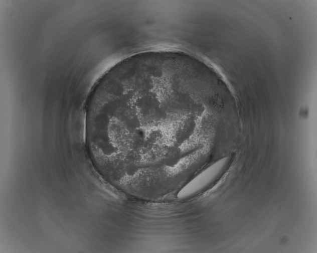 X0000091951171200709271320