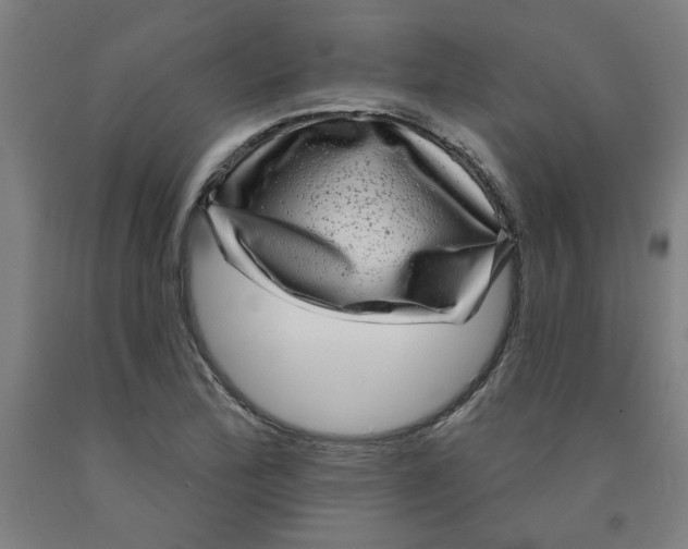 X0000091951172200709271320