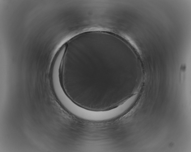 X0000091951173200709271320