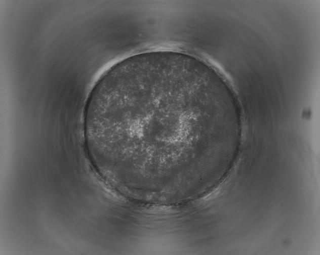 X0000091951174200709271320