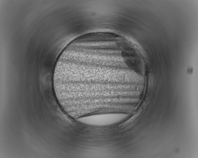 X0000091951177200709271320