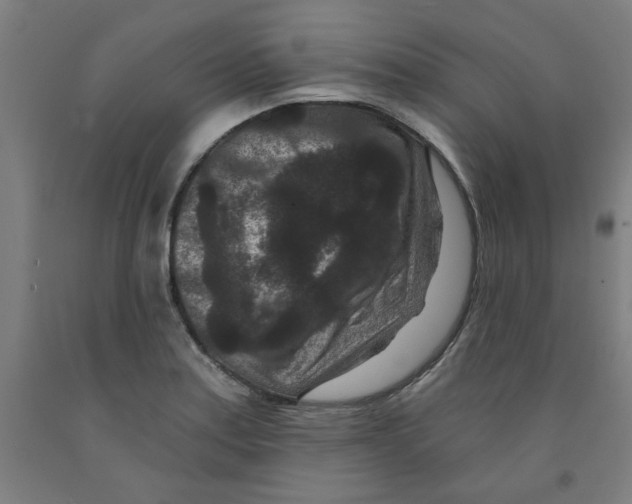 X0000091951179200709271320