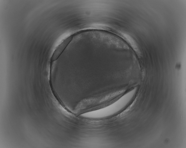 X0000091951180200709271320