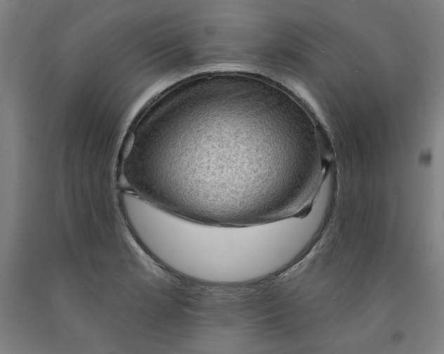 X0000091951181200709271320