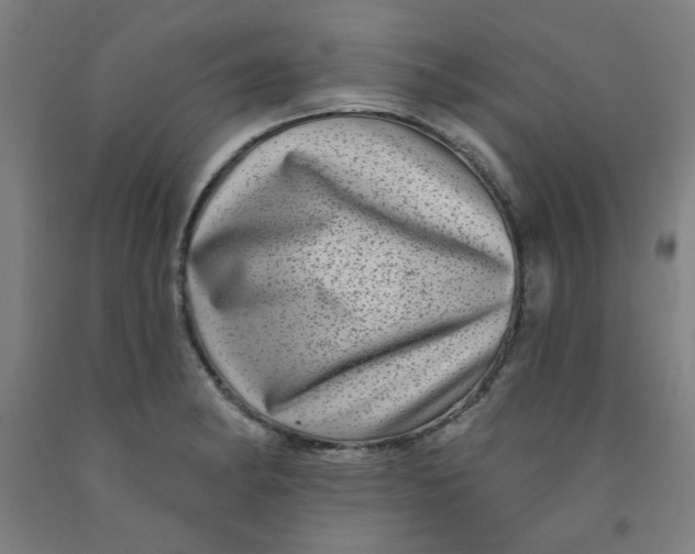 X0000091951182200709271320