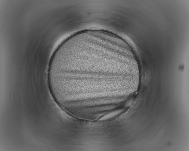 X0000091951183200709271320