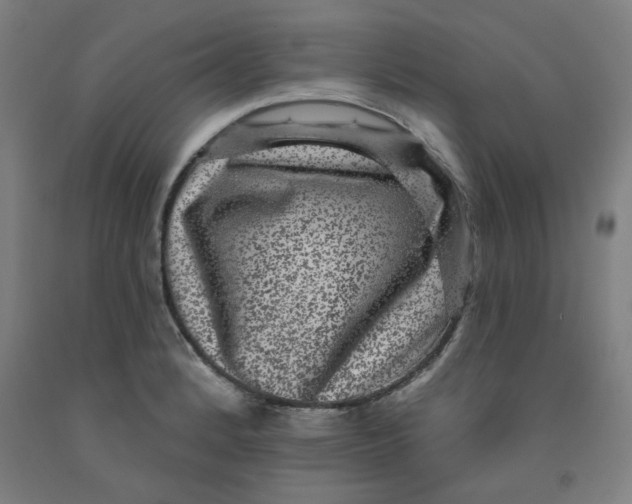 X0000091951184200709271320