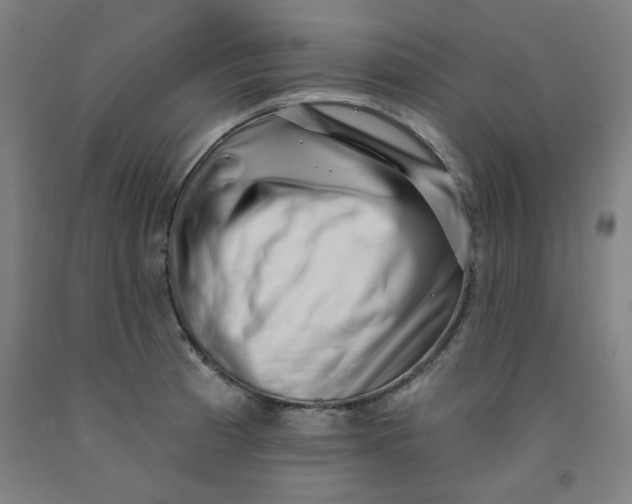 X0000091951185200709271320