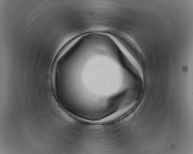 X0000091951186200709271320