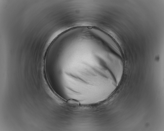 X0000091951187200709271320