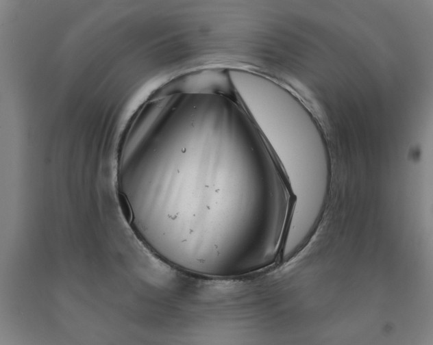 X0000091951188200709271320