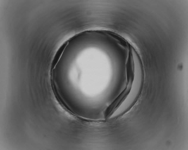 X0000091951189200709271320