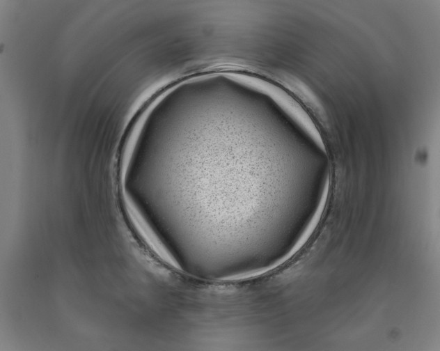 X0000091951190200709271320