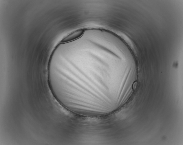 X0000091951191200709271320