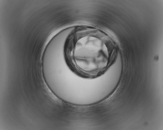 X0000091951192200709271320