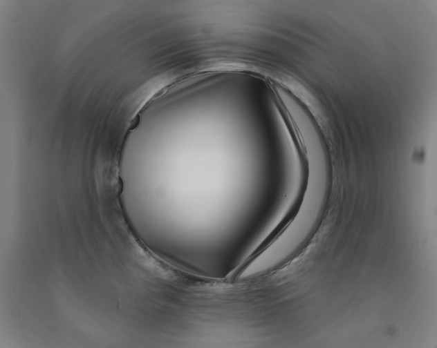 X0000091951193200709271320