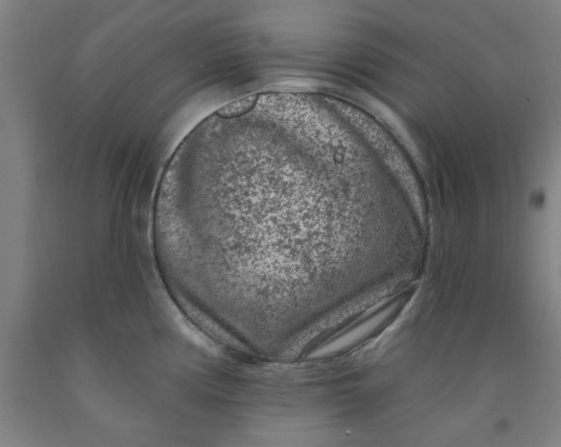 X0000091951194200709271320