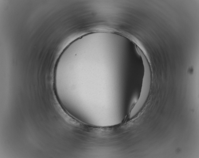 X0000091951195200709271320