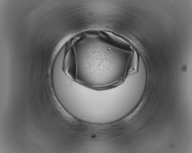 X0000091951196200709271320