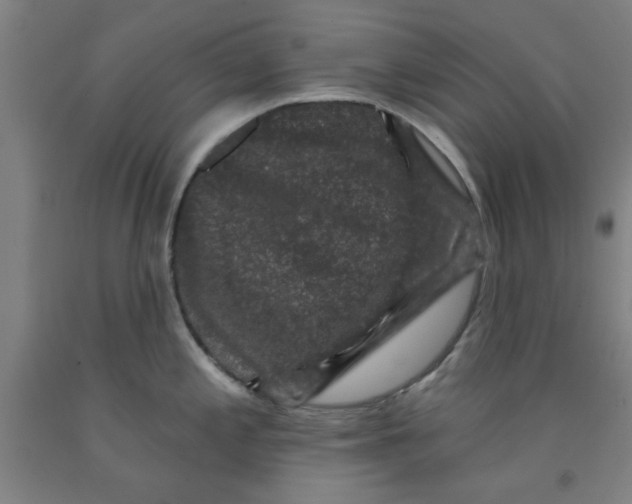 X0000091951197200709271320