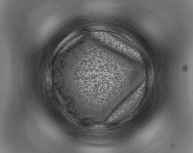 X0000091951198200709271320