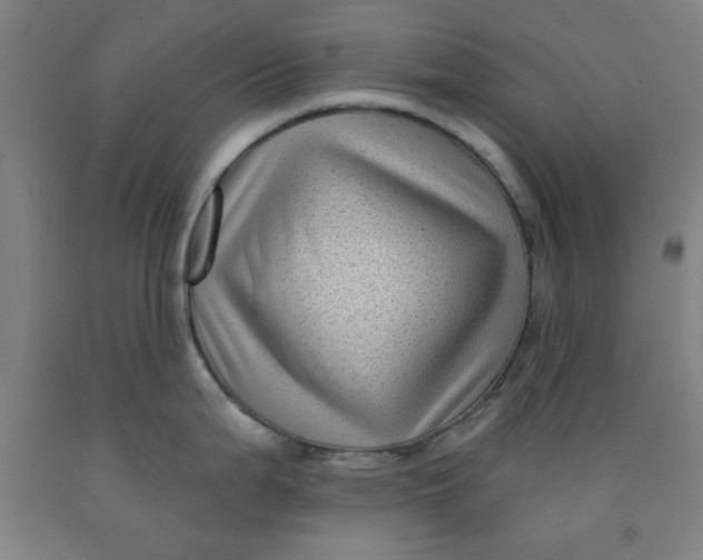 X0000091951199200709271320