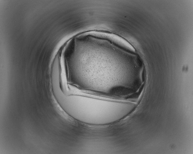 X0000091951200200709271320