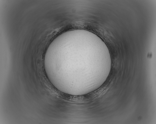 X0000091951201200709271319