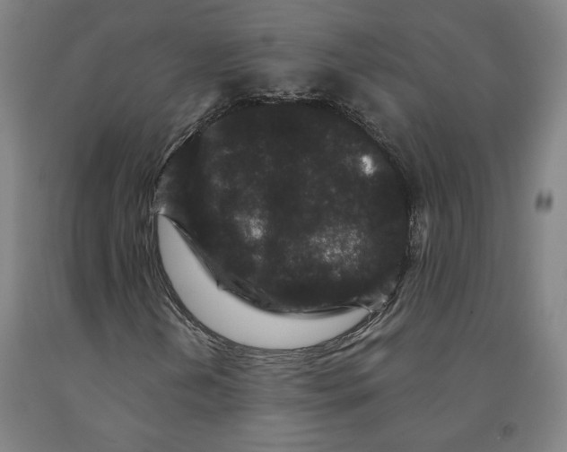 X0000091951202200709271319