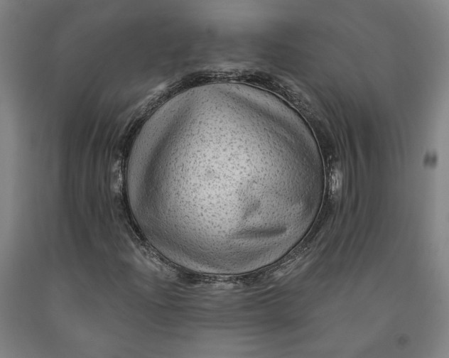 X0000091951204200709271319