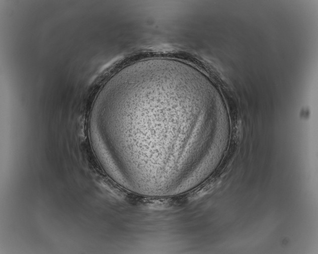 X0000091951205200709271319