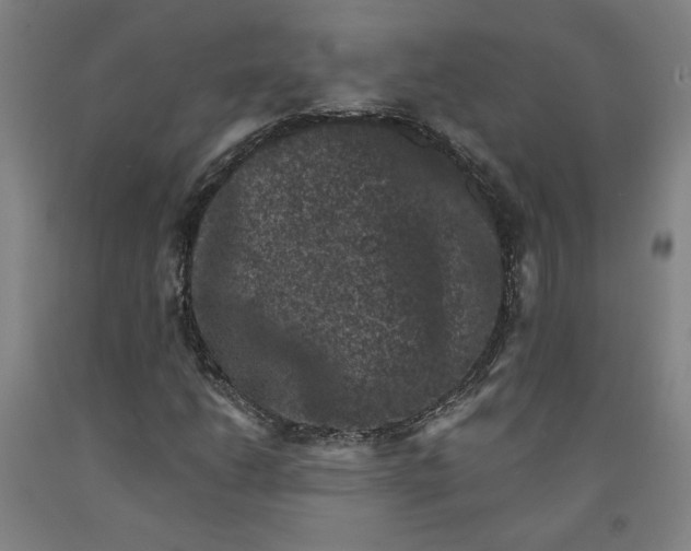 X0000091951206200709271319