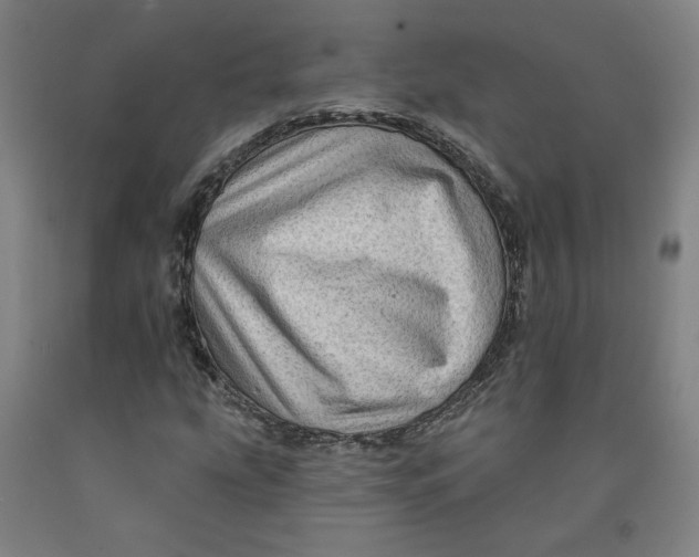 X0000091951207200709271319