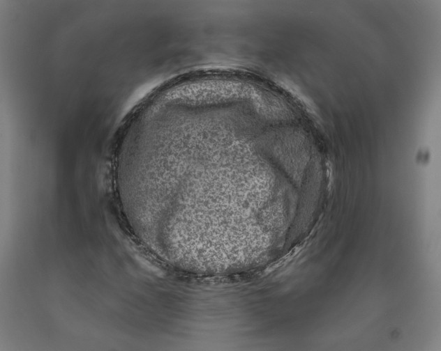 X0000091951208200709271319