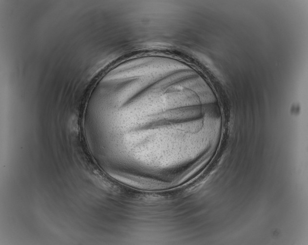 X0000091951209200709271319