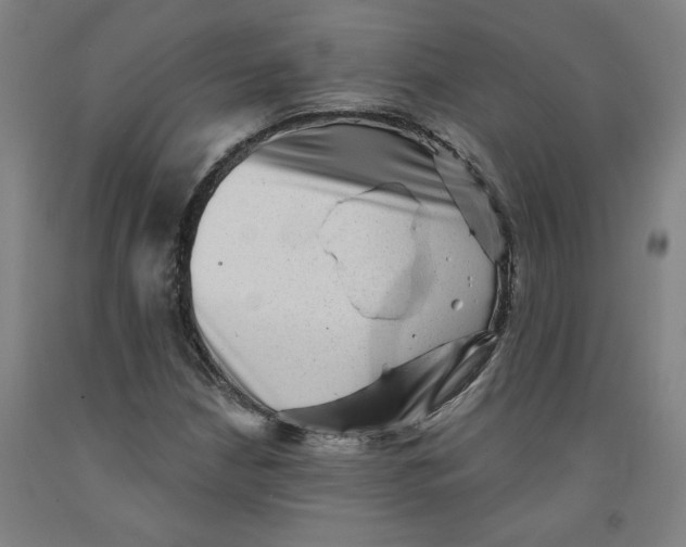 X0000091951210200709271319