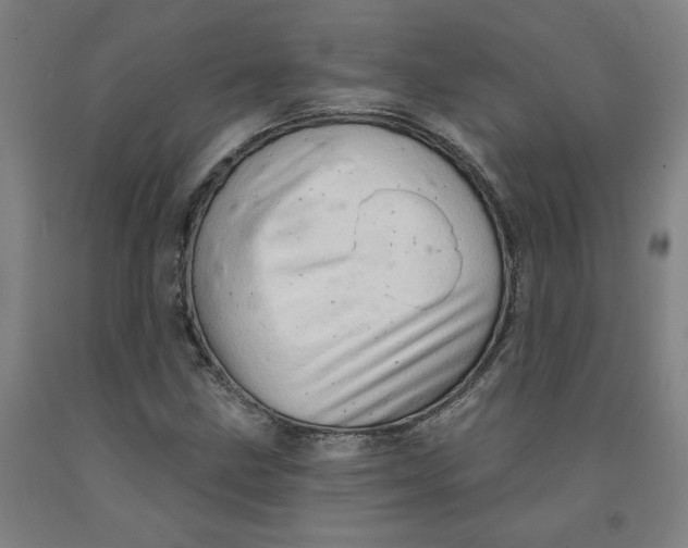 X0000091951211200709271319