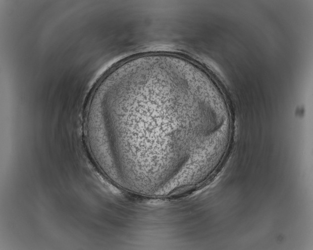 X0000091951212200709271319