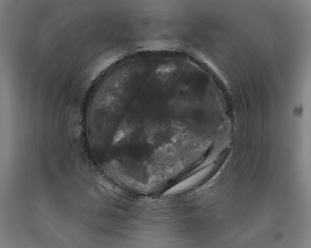 X0000091951213200709271319