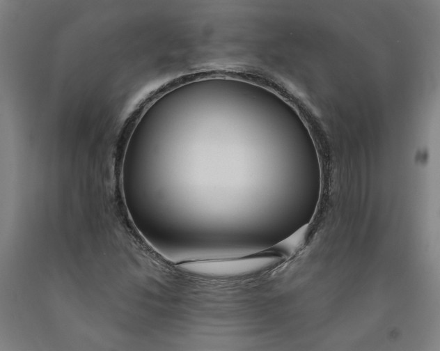 X0000091951214200709271319