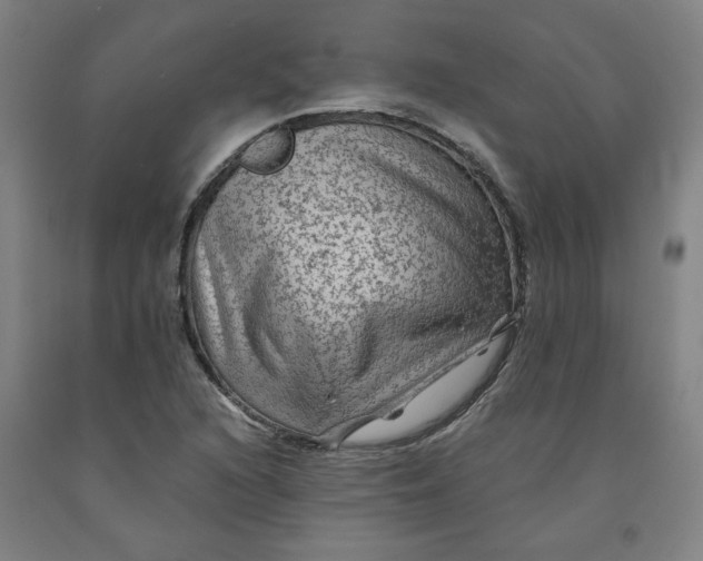 X0000091951216200709271319