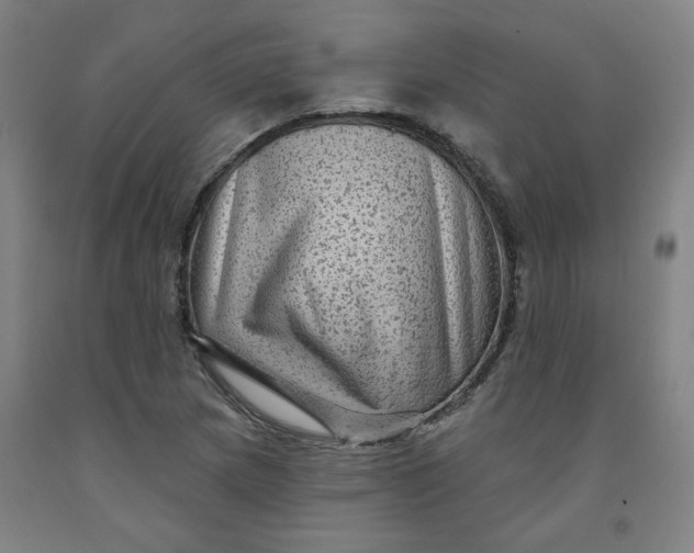 X0000091951217200709271319