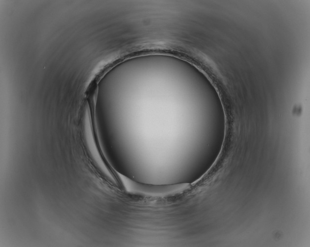 X0000091951218200709271319