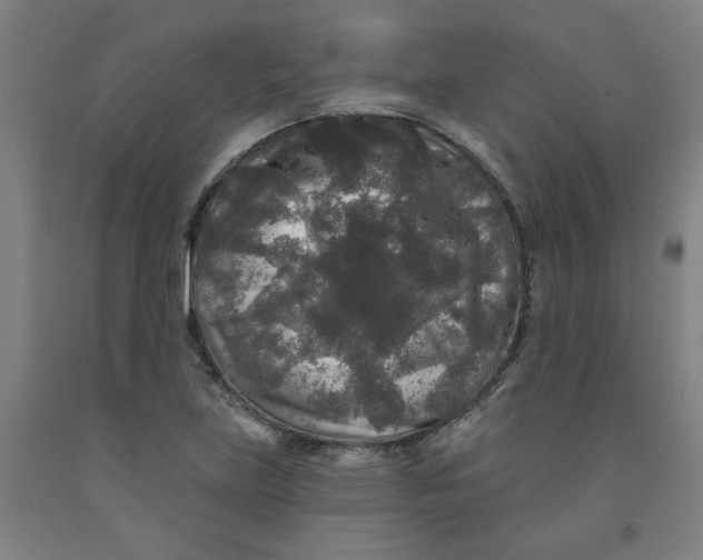 X0000091951219200709271319