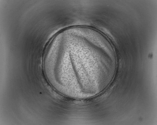 X0000091951220200709271319