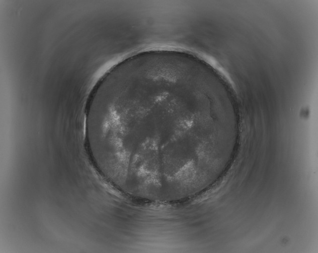 X0000091951221200709271319